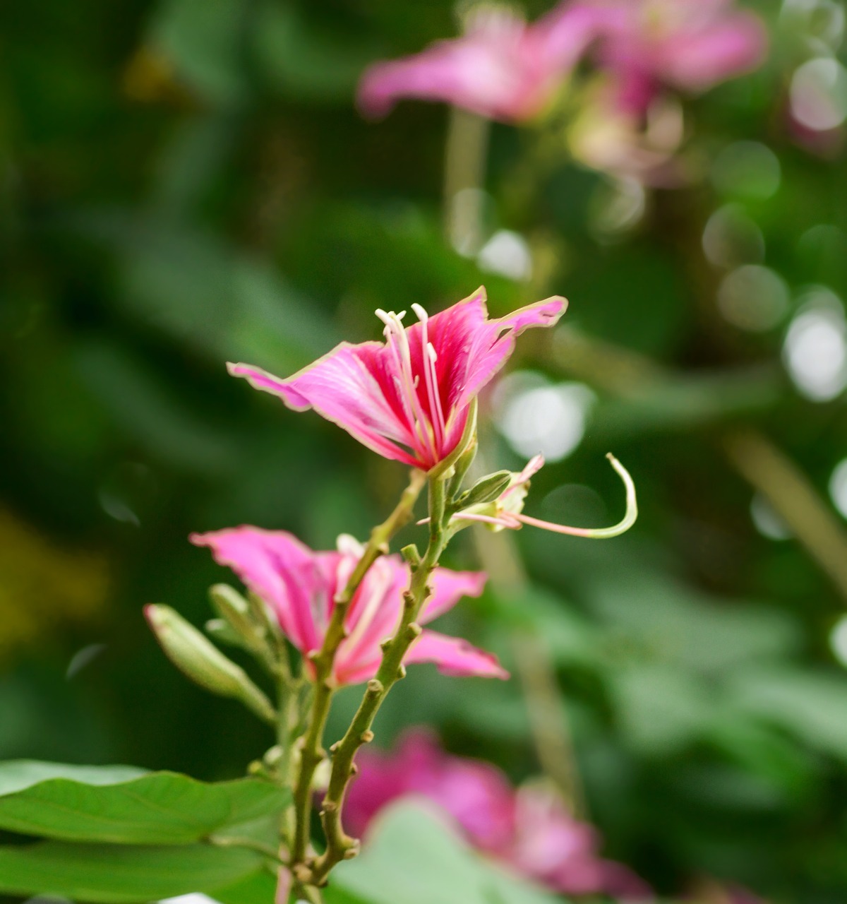 UQmobileの料金プランを比較しておすすめの選び方は？