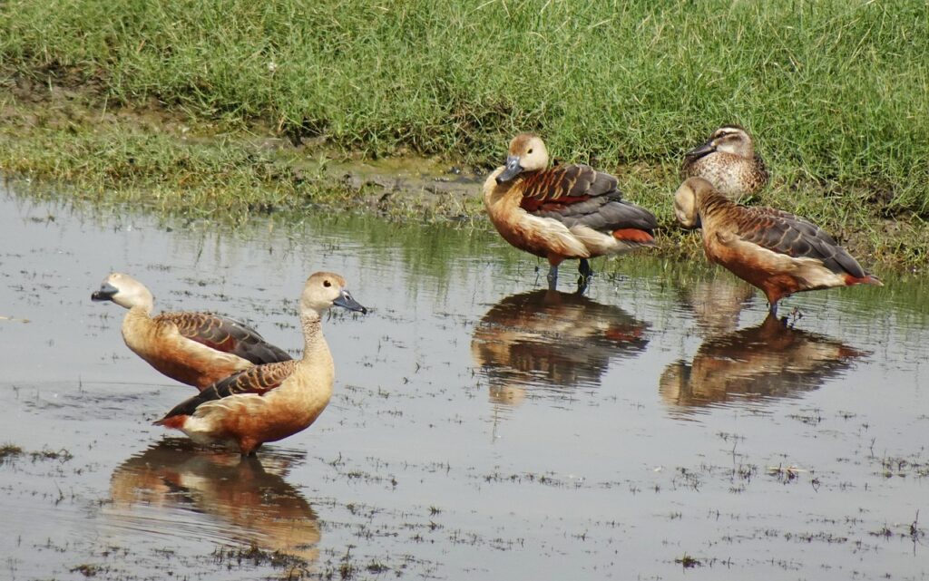 手取り少ない家計での節約における優先項目は？