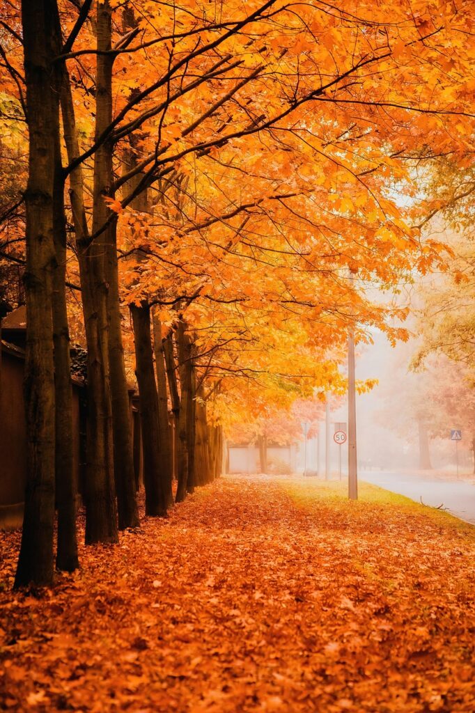 携帯乗り換えで料金を安くするためのポイントは？