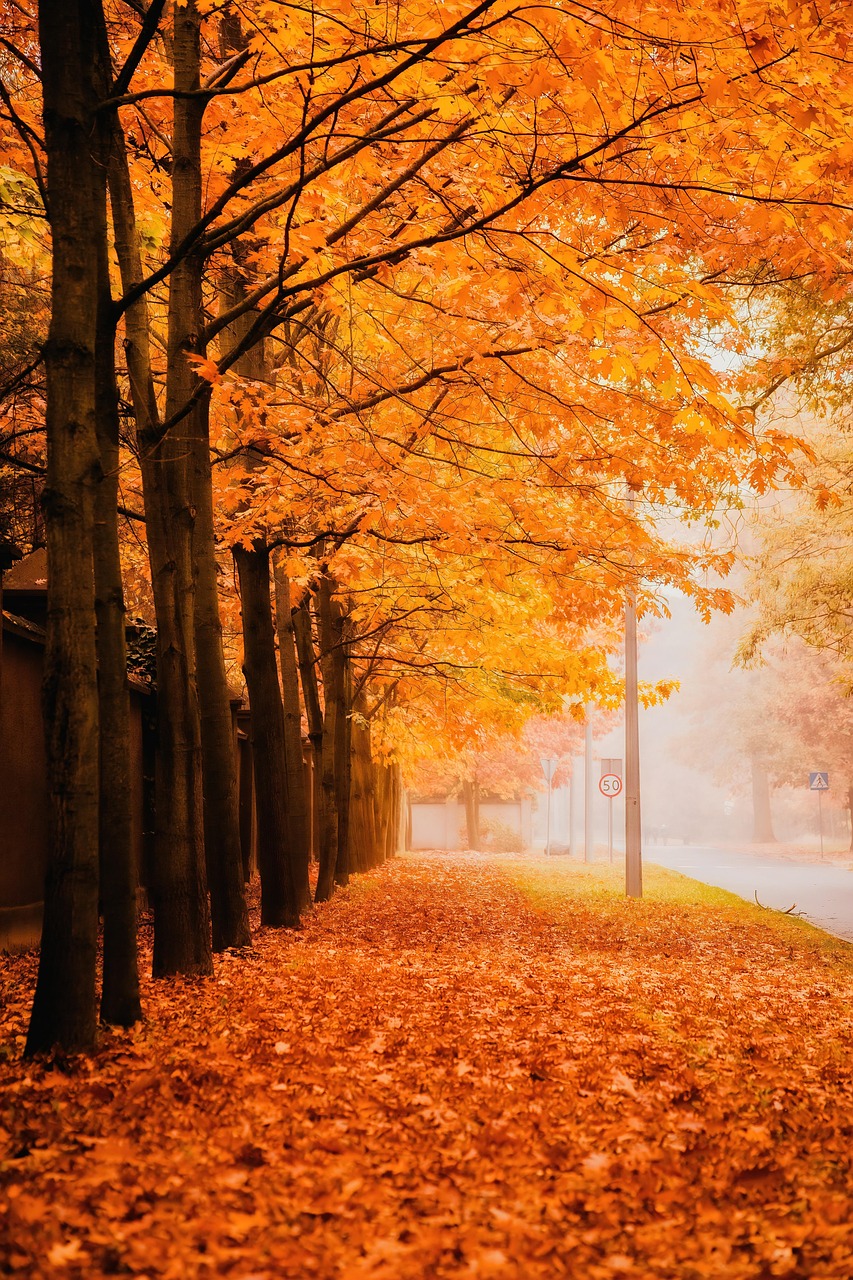 携帯乗り換えで料金を安くするためのポイントは？