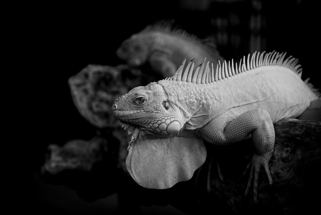 手取り少ない中での家計改善の体験談はどんなものがある？