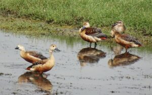 手取り少ない共働き家庭が実践すべき支出管理のコツは？