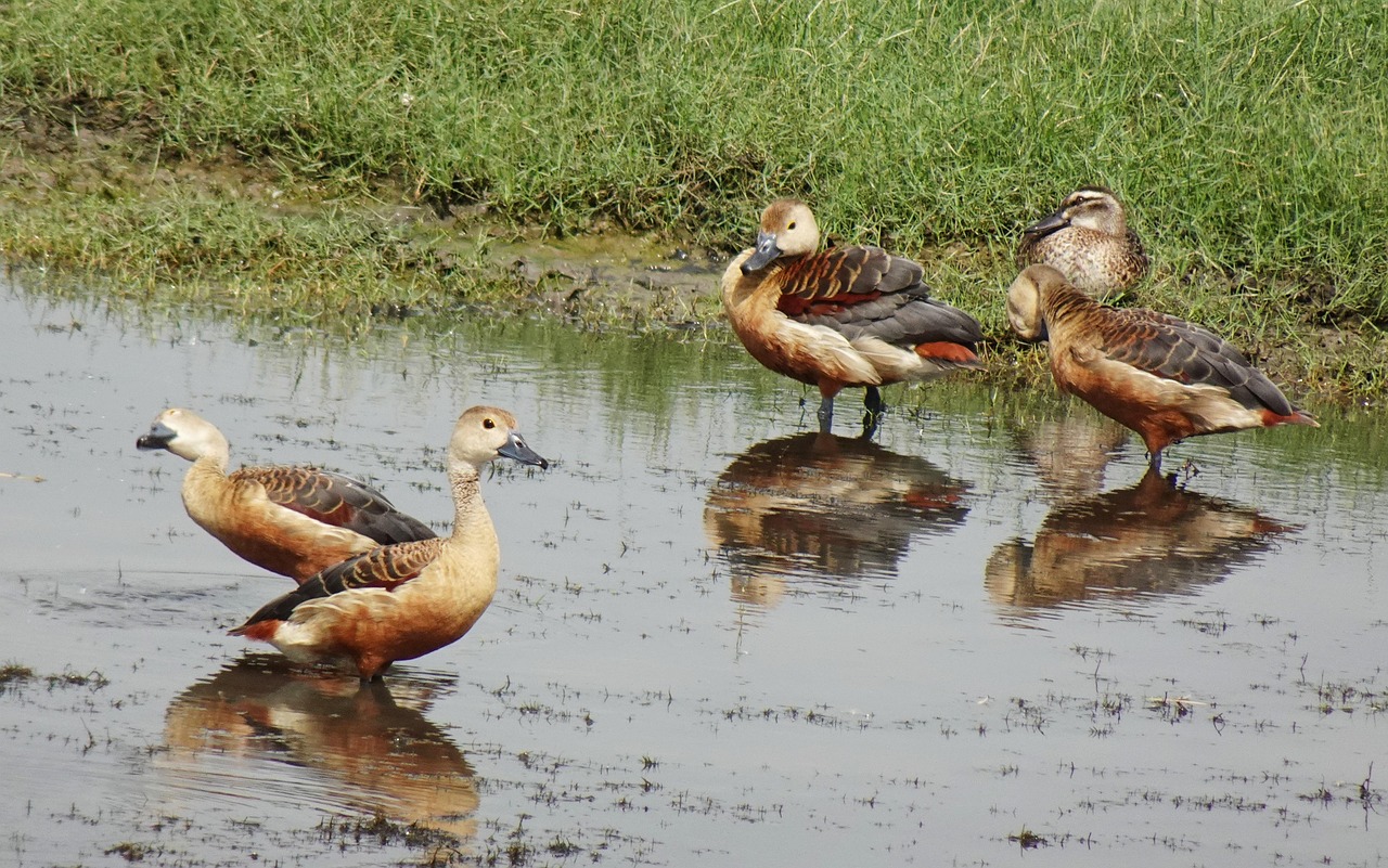 手取り少ない共働き家庭が実践すべき支出管理のコツは？