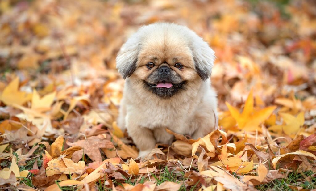 手取り少ない共働き家庭の家計簿の分け方は？