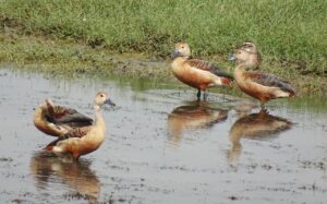 手取り少ない中での生活が厳しい時の対策は？
