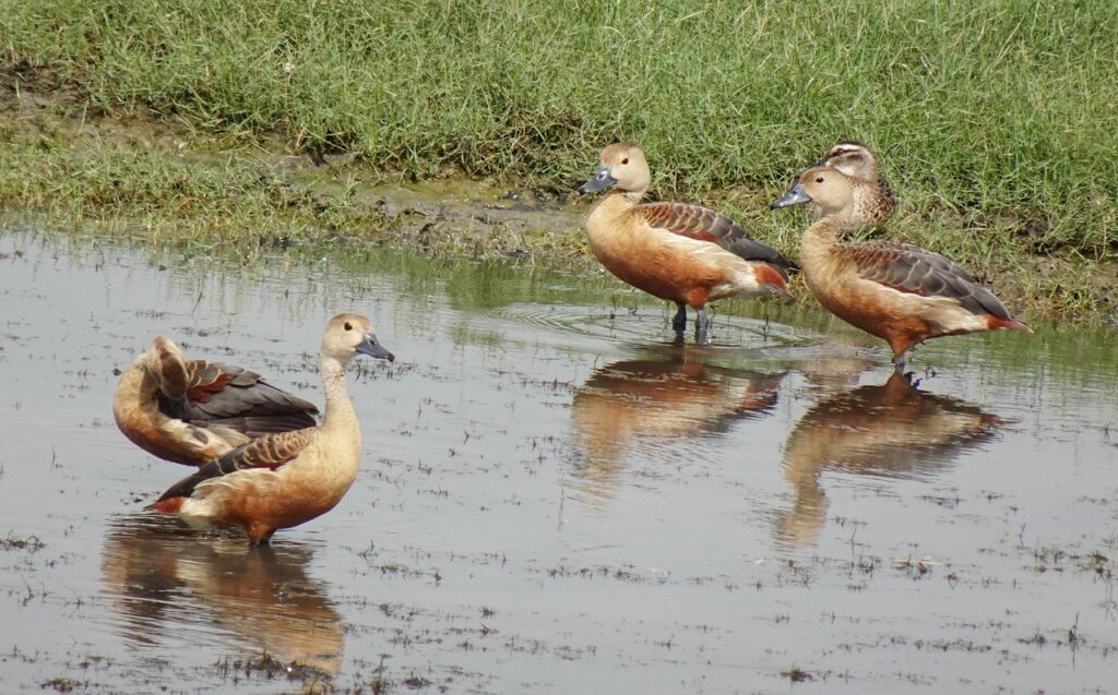 手取り少ない人が家計簿を使いこなすためのポイントは？