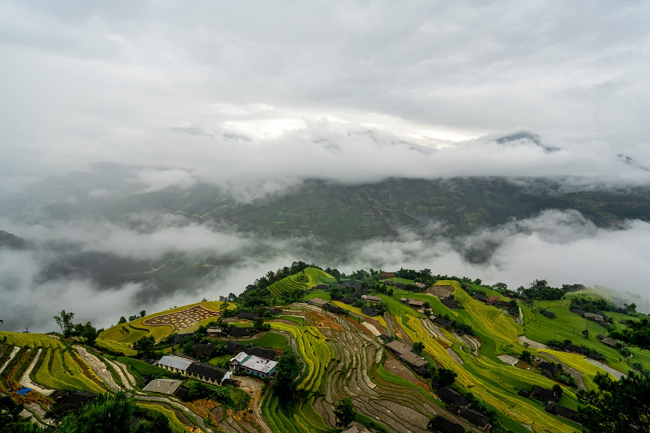 手取り少ない家計を整えるためのステップは？