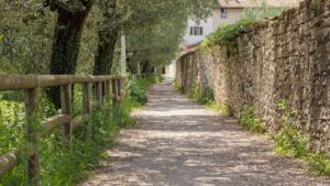 将来の安心を得るための家計管理方法はママにとってどう重要？