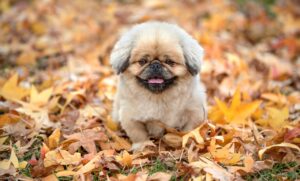 手取り少ない共働き家庭が感じるつらい現実とは？