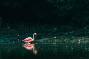 手取り少ない家計を改善するための副収入を増やす方法は？