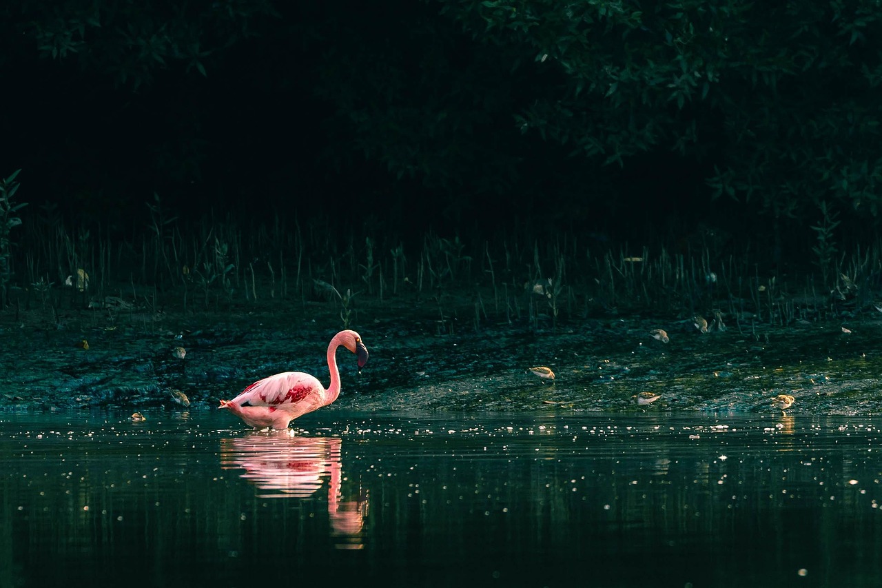 手取り少ない家計を改善するための副収入を増やす方法は？