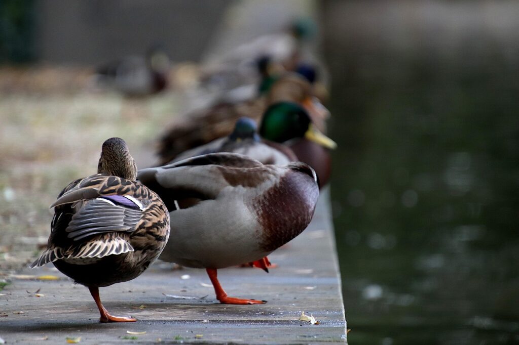 主婦が実践できる衝動買いを防ぐ方法は？