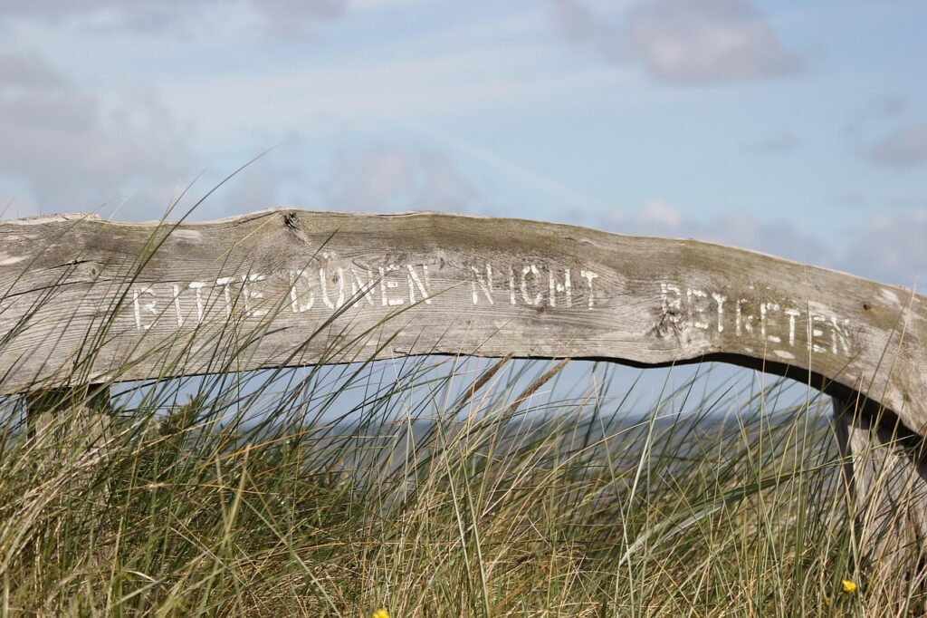 学資保険に入らない場合の選択肢は何ですか？