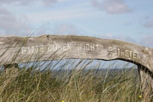 学資保険に入らない場合の選択肢は何ですか？