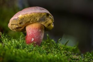 シングルマザーの生活費が足りない時の対処法は？