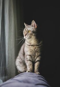 教育費を貯金できない家庭のための対策は？